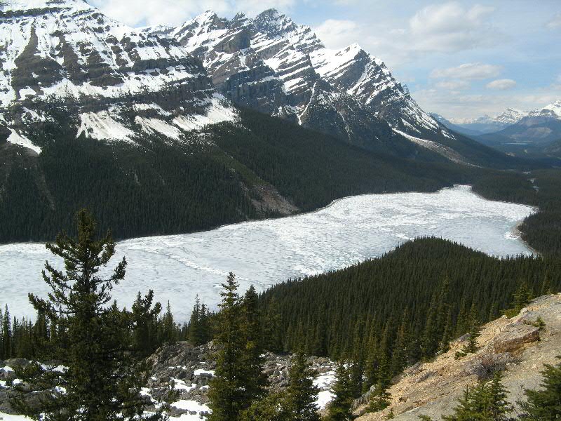 Canadian Rockies, Alberta - Peyto lake. For those driving between Banff ...