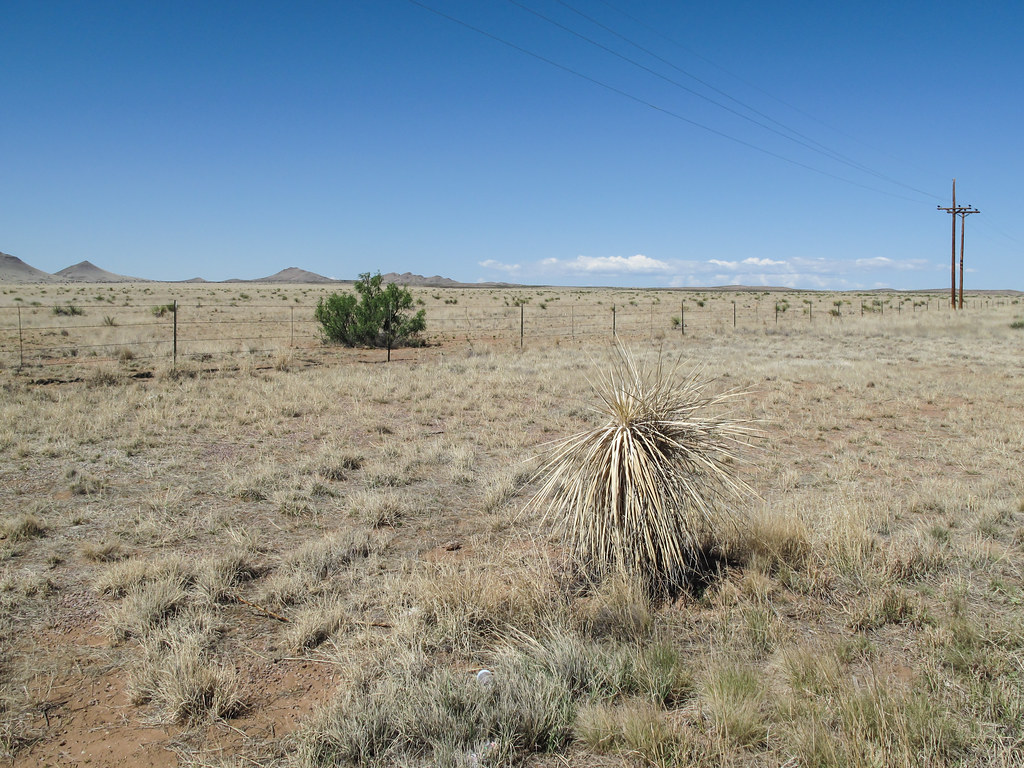 New Mexico pretty area of Jornada del Muerto. | I badly ♥ th… | Flickr