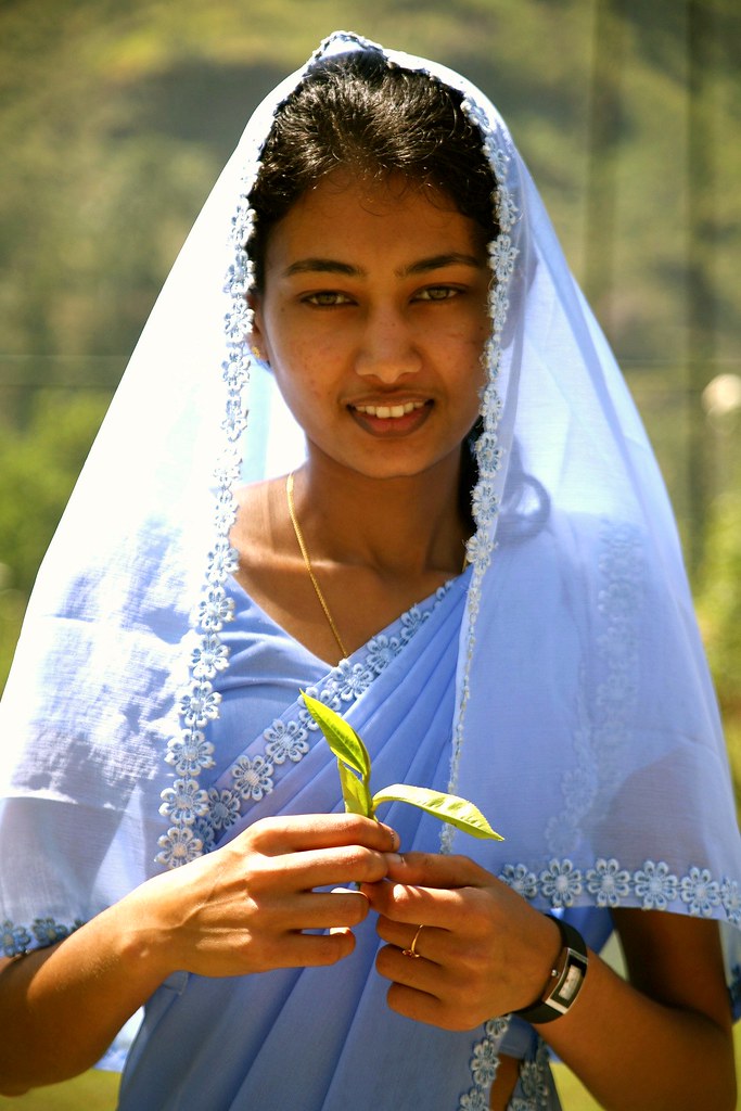 Blue Fields Tea Girl Sri Lanka Steve Weaver Flickr.