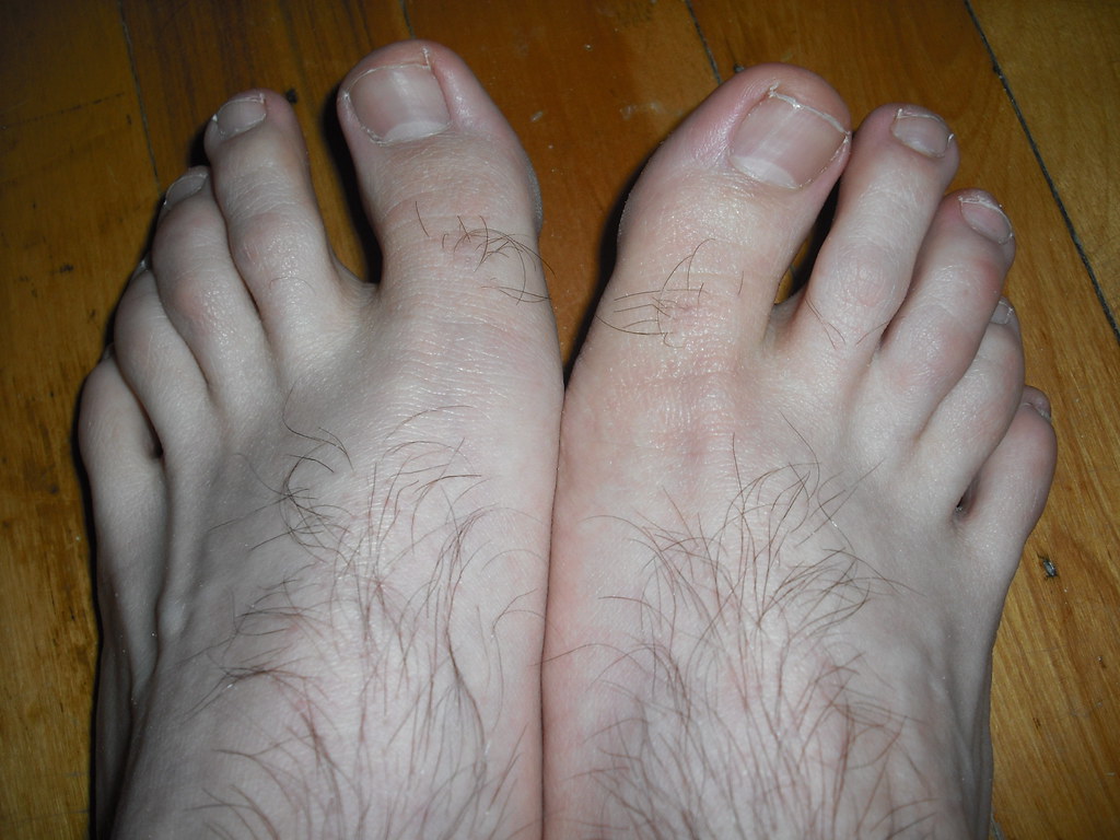 hairy-legs-and-feet-hairy-feet-and-toes-close-up-joey-johnny-flickr