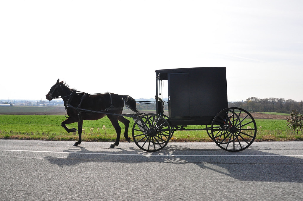 Amish horse and buggy in Lancaster, PA see more at www.rjd… Flickr