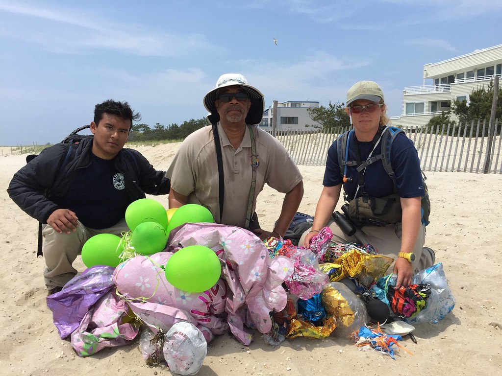 節日歡慶的氣球、裝飾到了海灘上都成為垃圾。圖片來源：USFWS(CC BY 2.0)