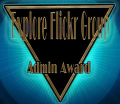 Admin Award