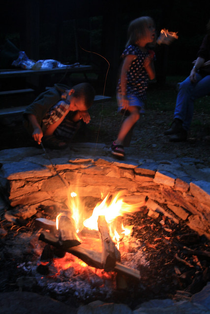 Nothing beats s'mores and the great outdoors at Virginia State Parks