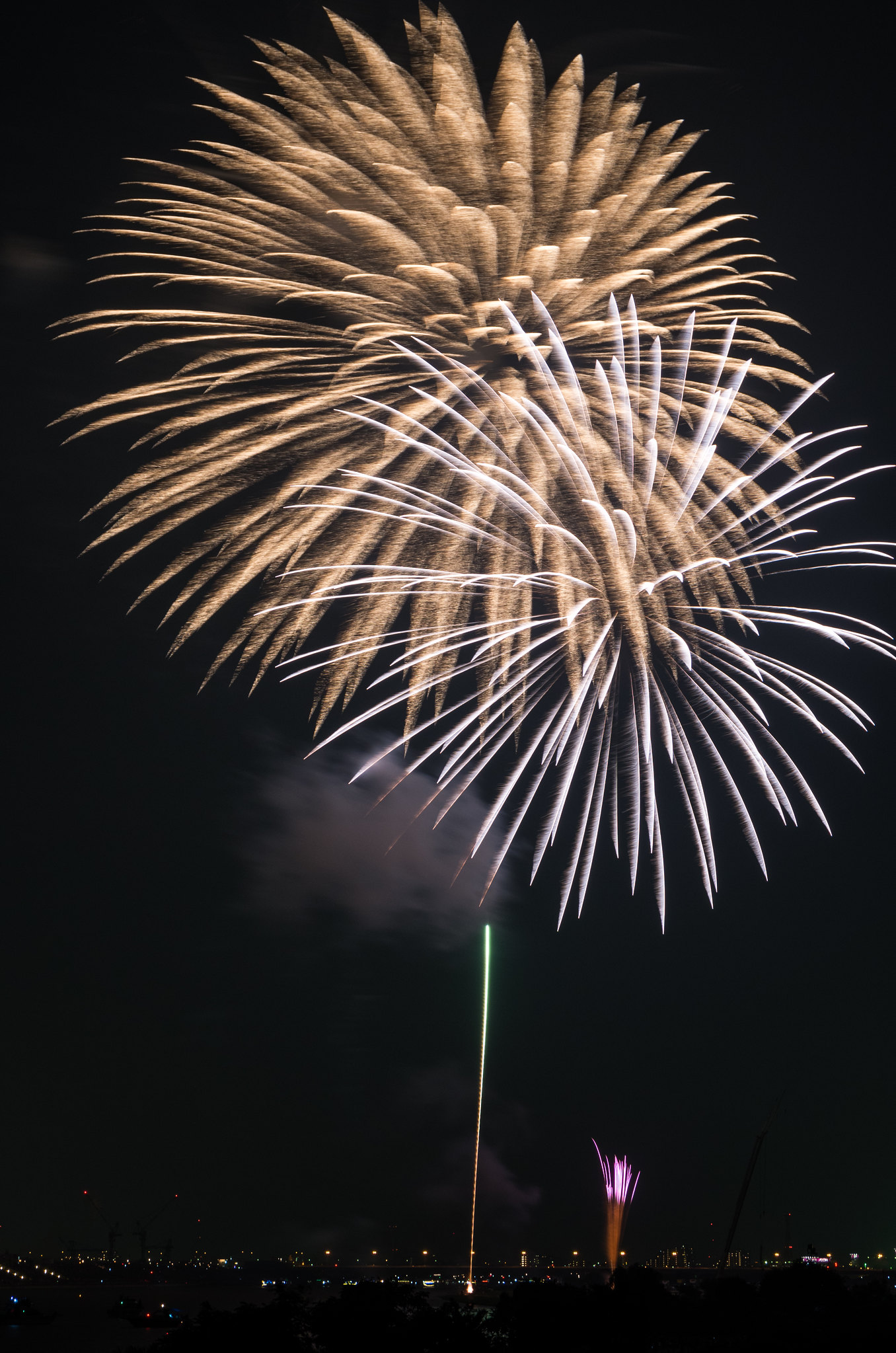 Edogawa Fireworks Festival 3