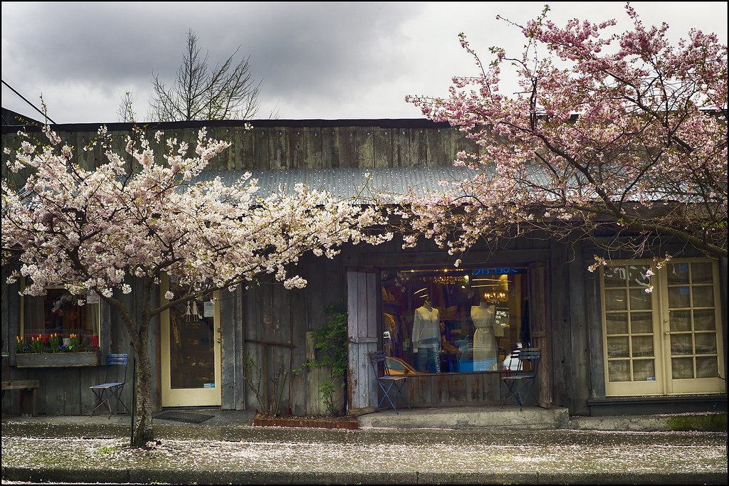 Springtime Sidewalk