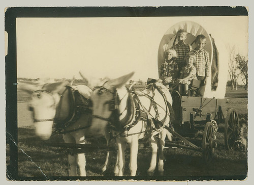 Four children and a mule team