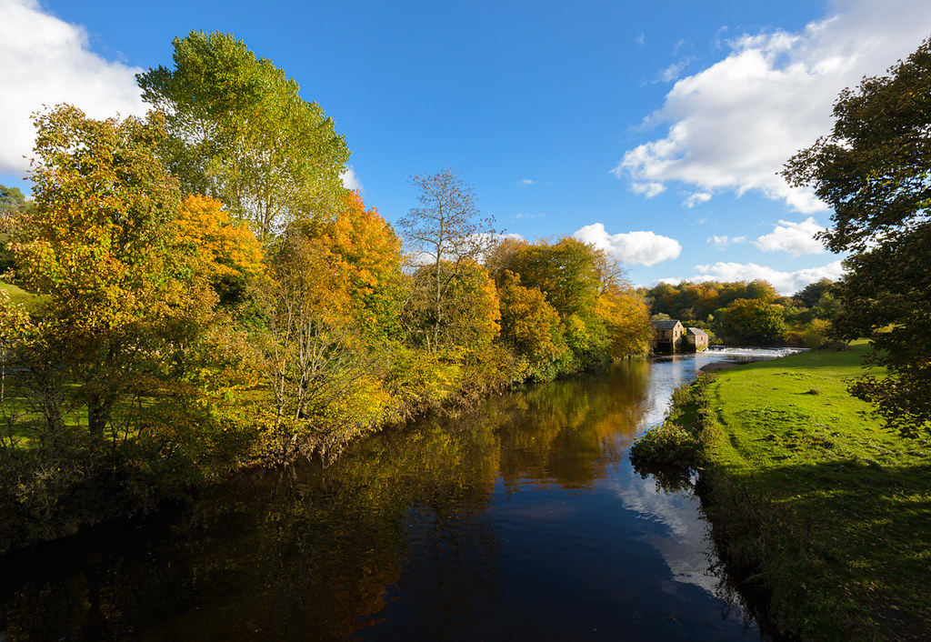 Pollock Park Pollock Country Park In Autumn Robert Brown Flickr   10514353895 319c98d947 B 