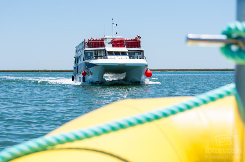 Paseo en barco a Ilha Deserta, la isla más al sur del Algarve Portugués