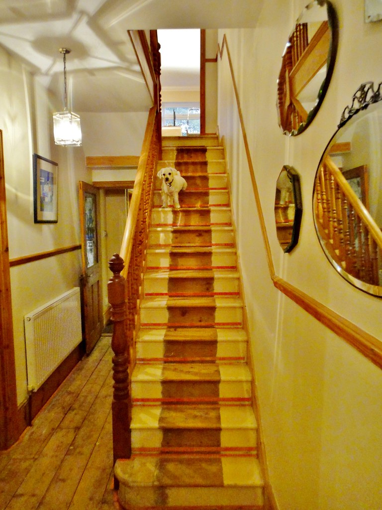 Edwardian Hallway in Redhill - Nov 2013 - The Naked Stairc 