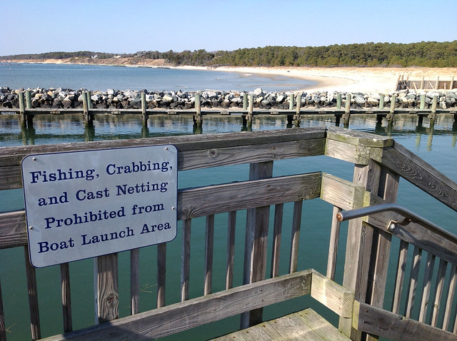 Be sure to follow the rules so you don't end up with a citation at Kiptopeke State Park