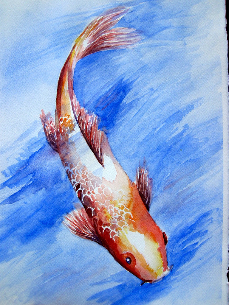 Koi Fish 2 I M Taking A Watercolor Painting Class At The V Flickr   10280372626 33b32b5969 B 