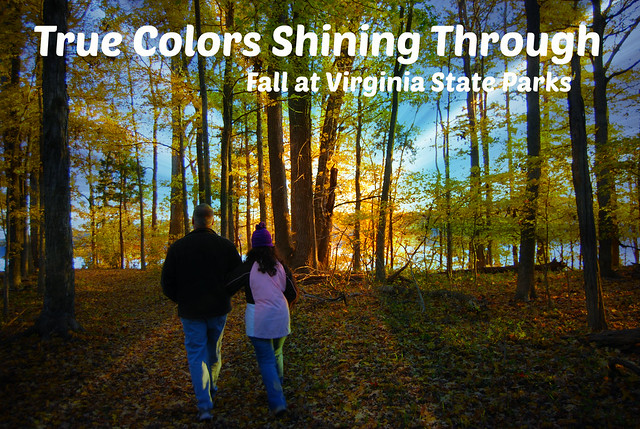 Leaves changing at Staunton River State Park, Virginia - her true colors shining through