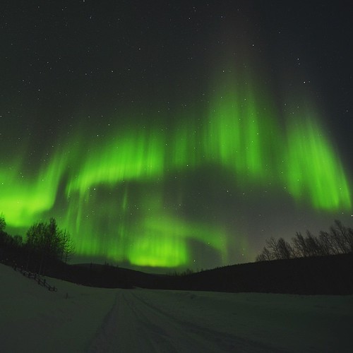 Alaska aurora  #Alaska  #PolarLights #USA #America #NorthPole #NorthernLights #Cold #snow #Ice #Fairbanks #Aurora
