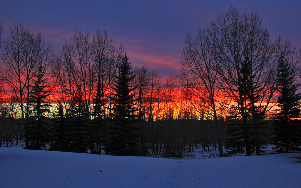 Intense Winter Sunset Through Trees | This was taken a coupl… | Flickr