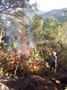 Brûlage des végétaux des carbunari de Ranedda