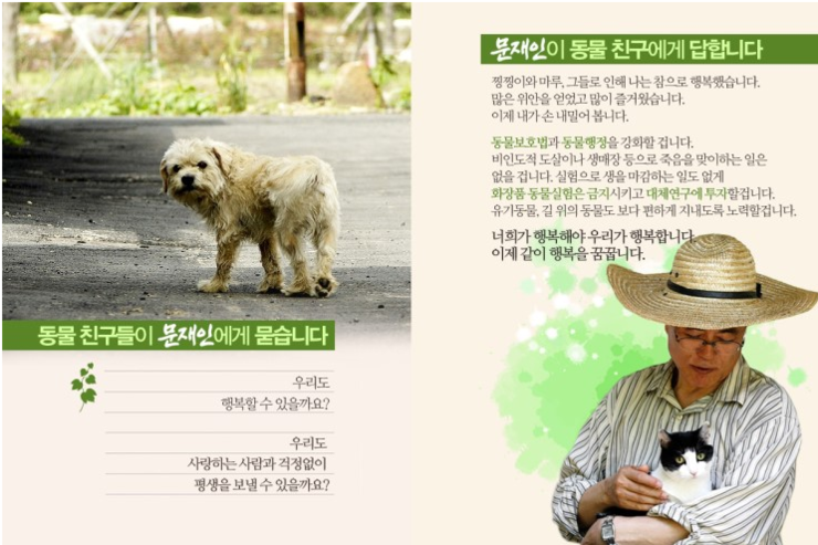 Moon Jae-In’s puppies.