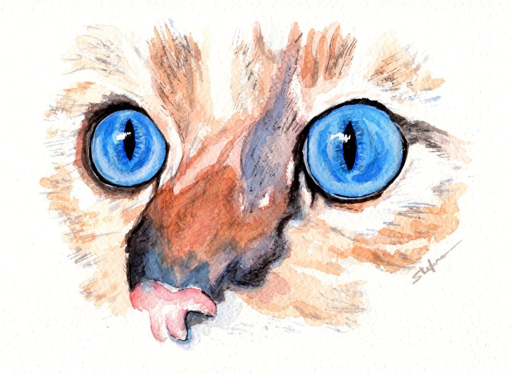 Cat Eyes - Watercolor | Stefano Bonalume | Flickr
