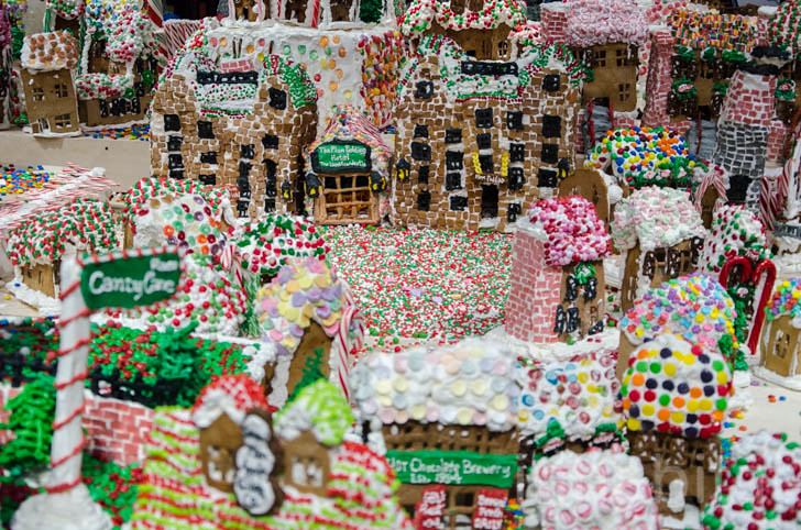 Gingerbread Lane by John Lovitch at NYSCI | Inhabitat drools… | Flickr