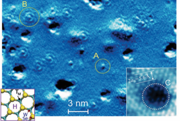 The ring-shaped patterns on this image represent the optical phonon condensate droplets scattered all over the surface of quasi-freestanding WSe2 island 