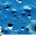 The ring-shaped patterns on this image represent the optical phonon condensate droplets scattered all over the surface of quasi-freestanding WSe2 island 