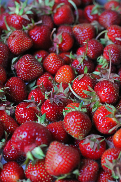 i want to eat all the strawberries!