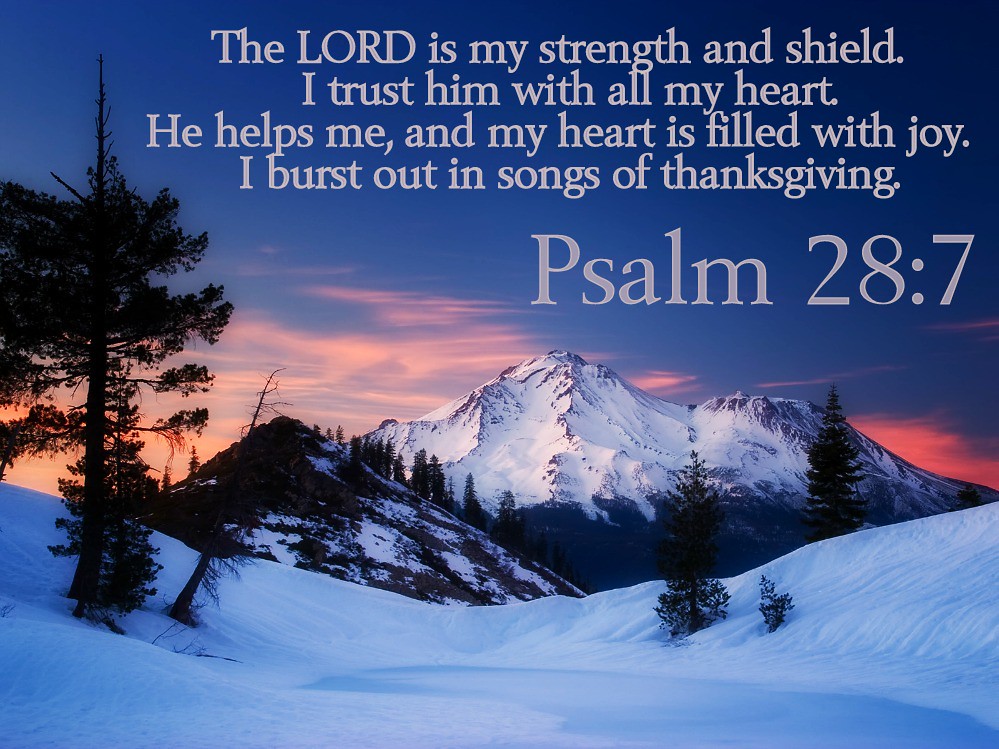 psalm-28-7-nlt-11-17-13-today-s-bible-scripture-bob-smerecki-flickr