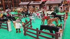 Playmobil Medieval Peñafiel. ACYCOL