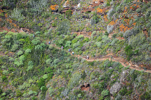 Walking group on narrow trail, Anaga, Tenerife