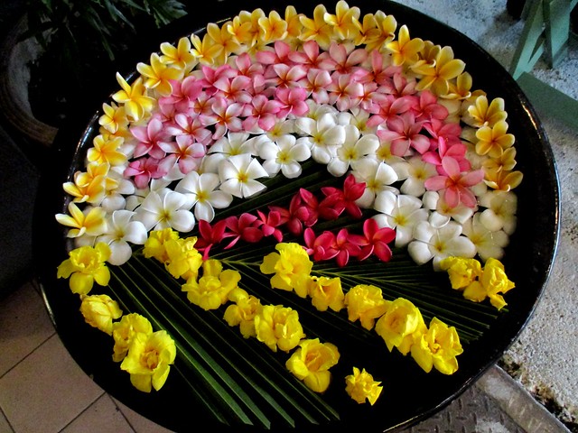 Floral display 1