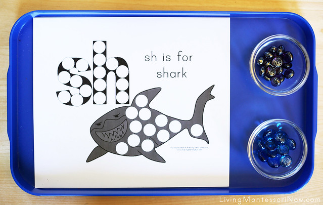 Sh Is for Shark Activity