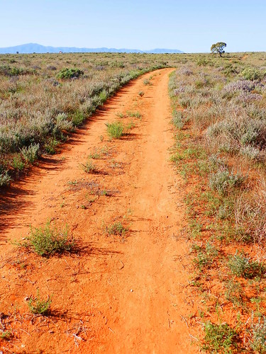 Arid Lands Botanic Gardens Track, Port Augusta