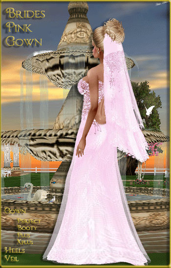 Pink Gown Banner