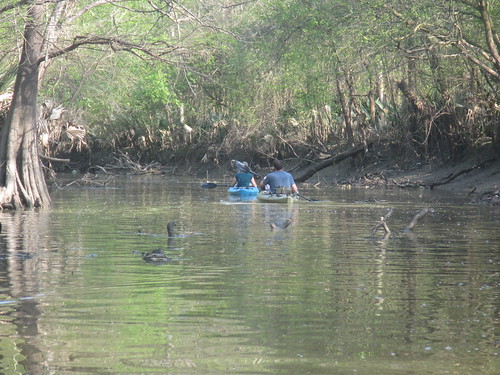 Paddlers on the bayou