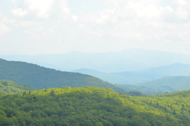 The views go on and on at Grayson Highlands State Park in Virginia - this is the Sugarlands Overlook visible from the road