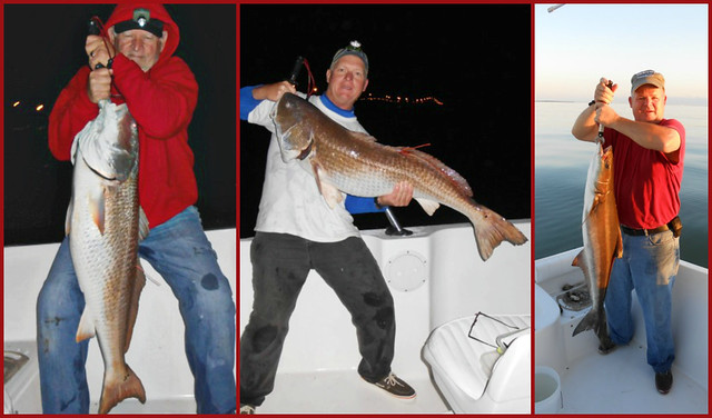 The Cobia was caught about a 1000 yards east of the Concrete ships just of the beach in 20 ft of water.  The Red and Black Drum were caught on Lattermire Sholes just east of the CBBT at Kiptopeke State Park, Va