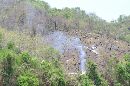 東南亞的焚燒耕作法，燒毀大片森林。圖片來源：oldandsolo（CC BY 2.0）