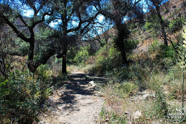 upper sycamore canyon-18