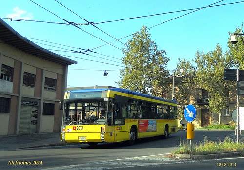 autobus Busotto n°102 in viale Monte Kosica - linea 4