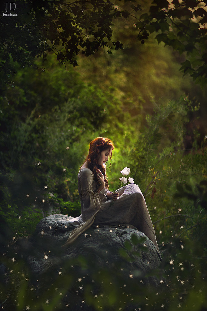 Enchanted Woods | Please follow me on Facebook I Google + I … | Flickr