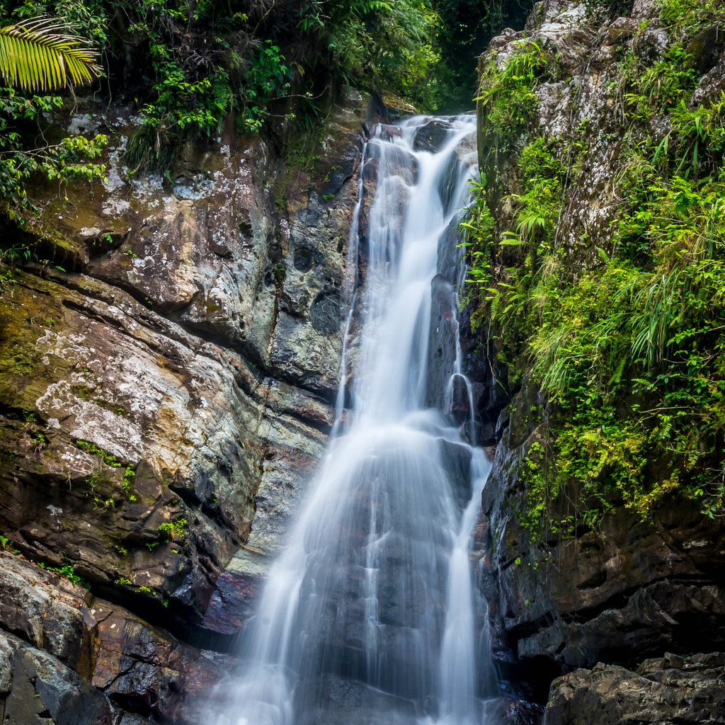 La Mina Falls, El Yunque National Forest, Puerto Rico | Flickr