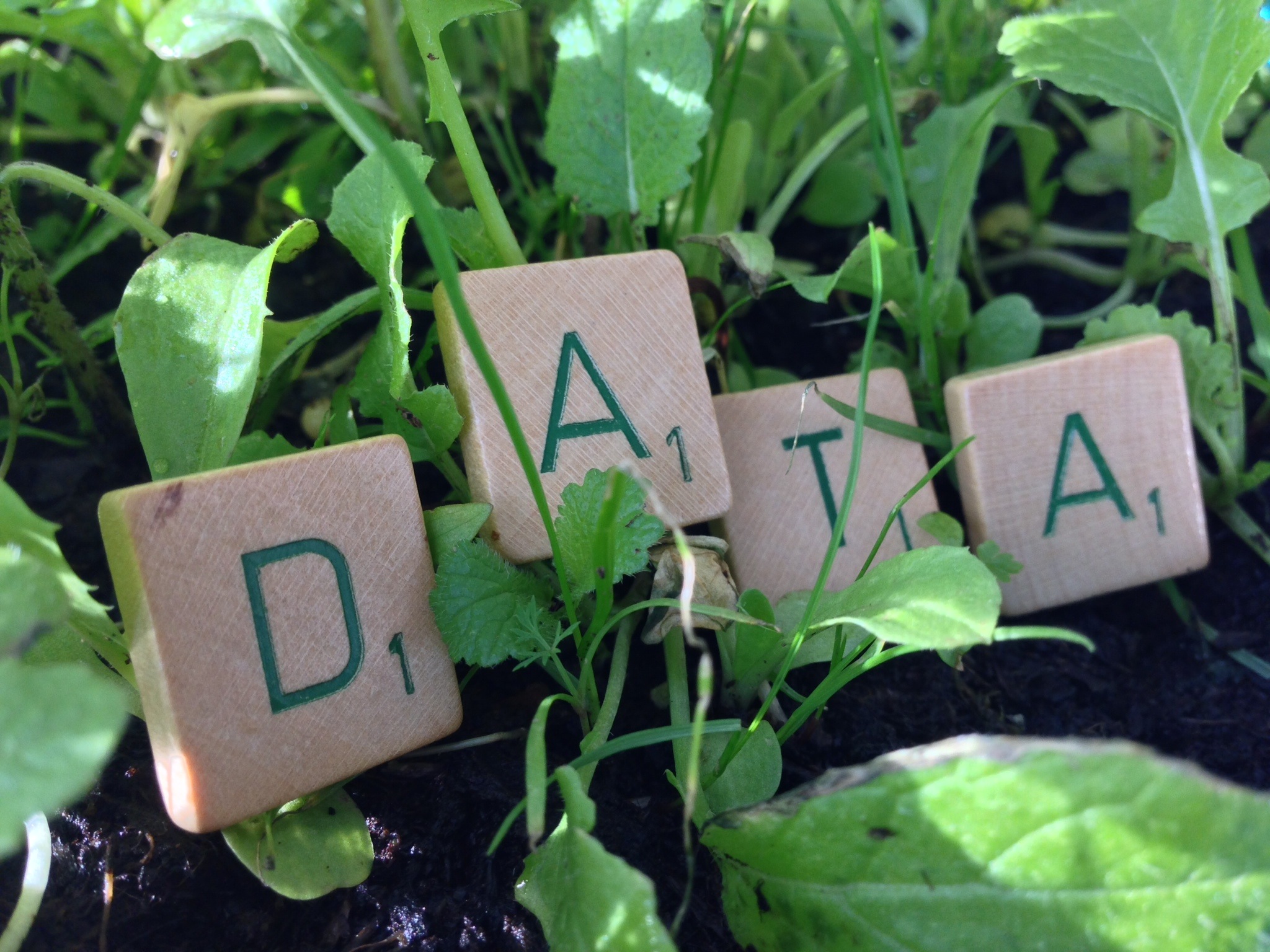 FAIR data et Open data | Marlène's corner