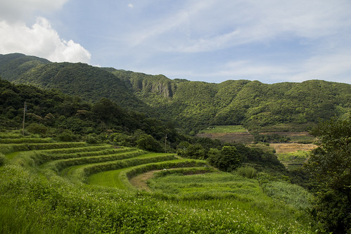 石門嵩山梯田景觀。圖片來源：台灣環境資訊協會