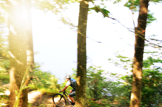 Mountain biking is a popular sport at Virginia State Park from Pocahontas, York River, to Hungry Mother State Parks