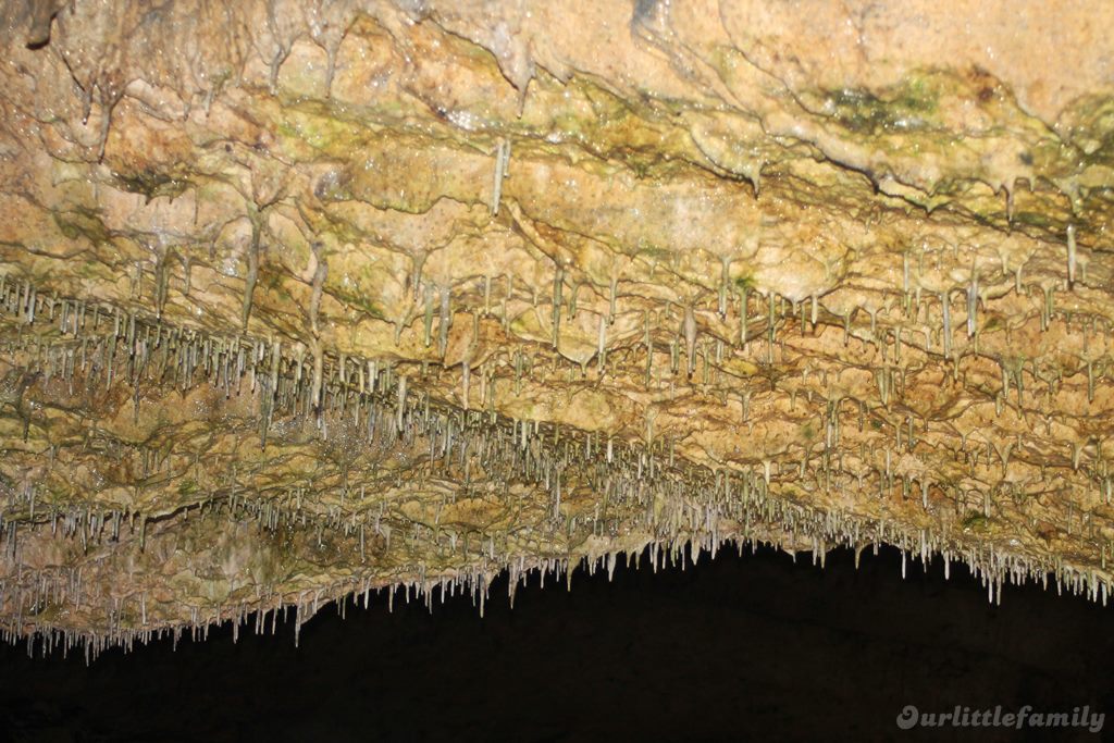 grotte de porrentruy