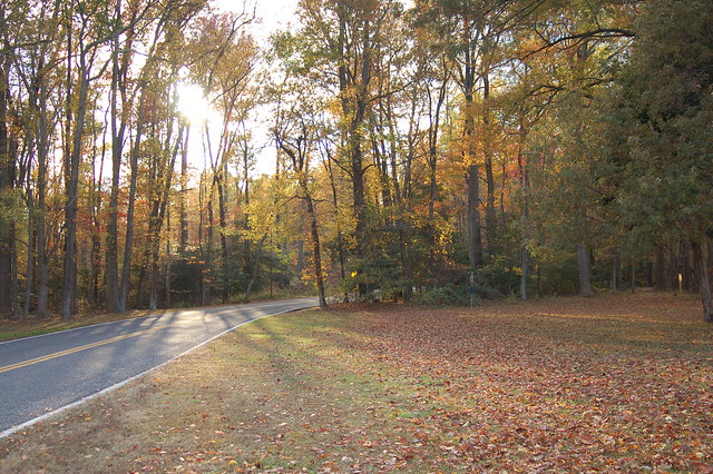 A sunday drive through the park makes all the difference at Westmoreland State Park, Virginia