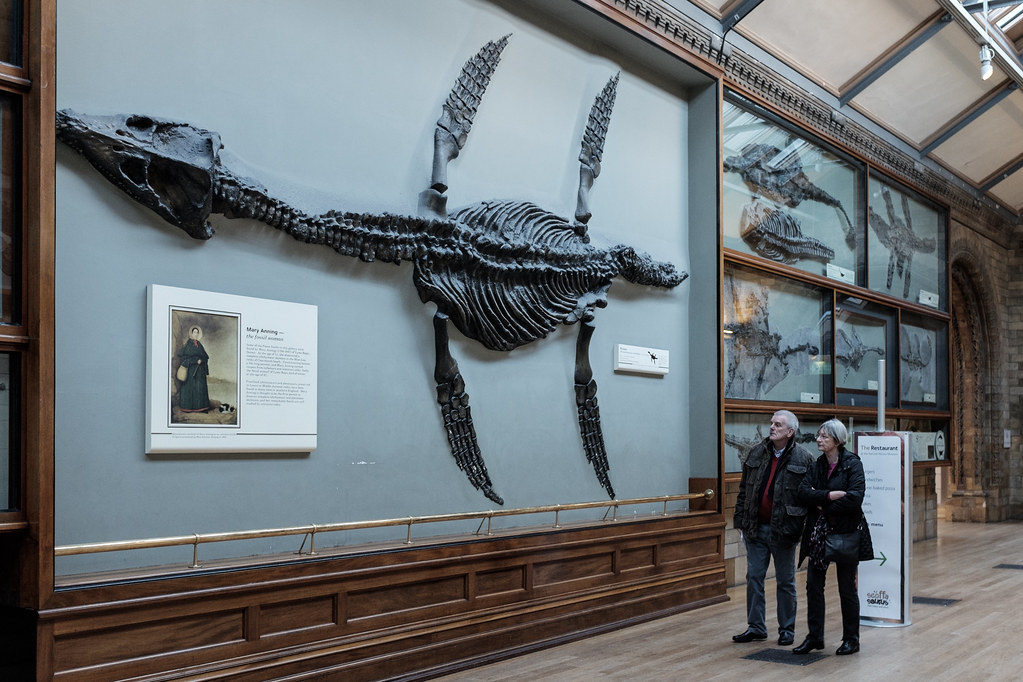 Travel and Photography | Pliosaur | London Natural History Museum
