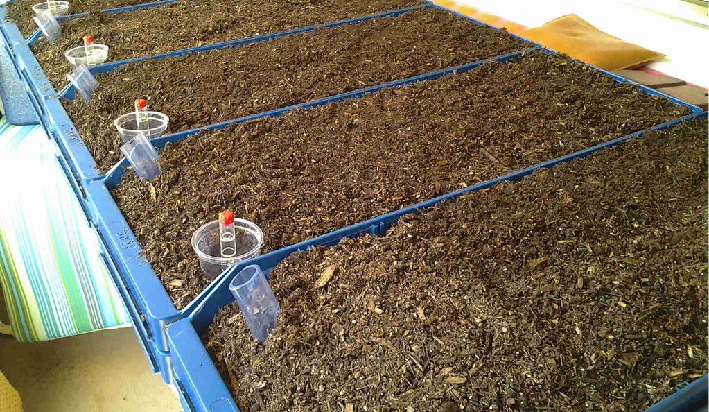 Tontöpfchen Bewässerungssystem selber bauen – so geht's | Flickr