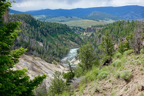 Yellowstone River