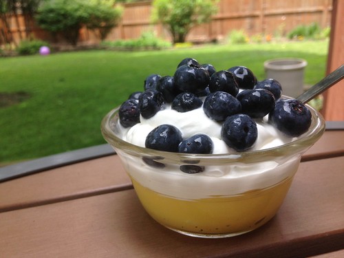 Lemon Curd with Whipped Cream and Blueberries